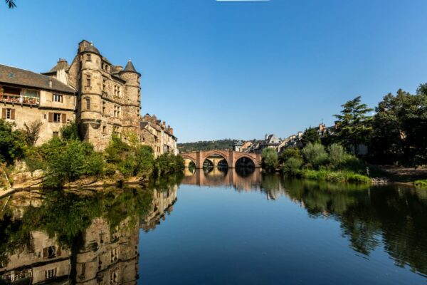 20200808_084114391_iOS