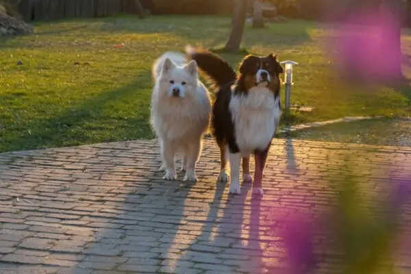 20210307_171142000_iOS site