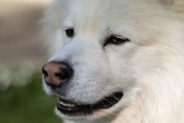 20210423_152133540_iOS site