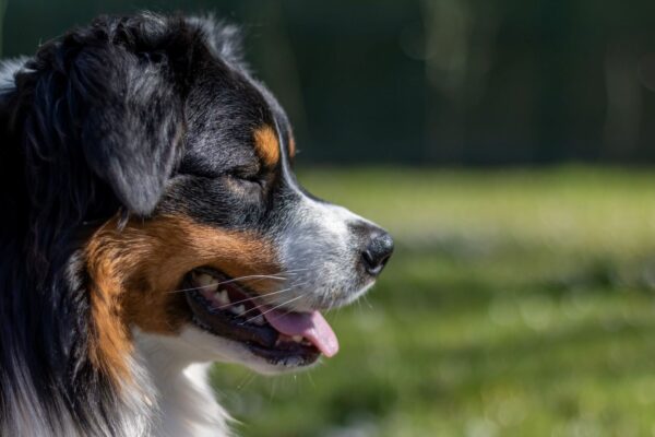 20210423_152849360_iOS site