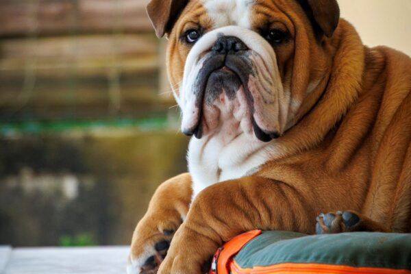 20260111_141954690_iOS site