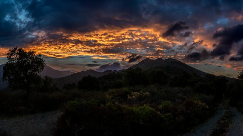 September Light in Catalogne
